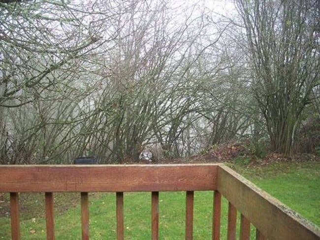 Building Photo - 3041 SE Timberlake Dr