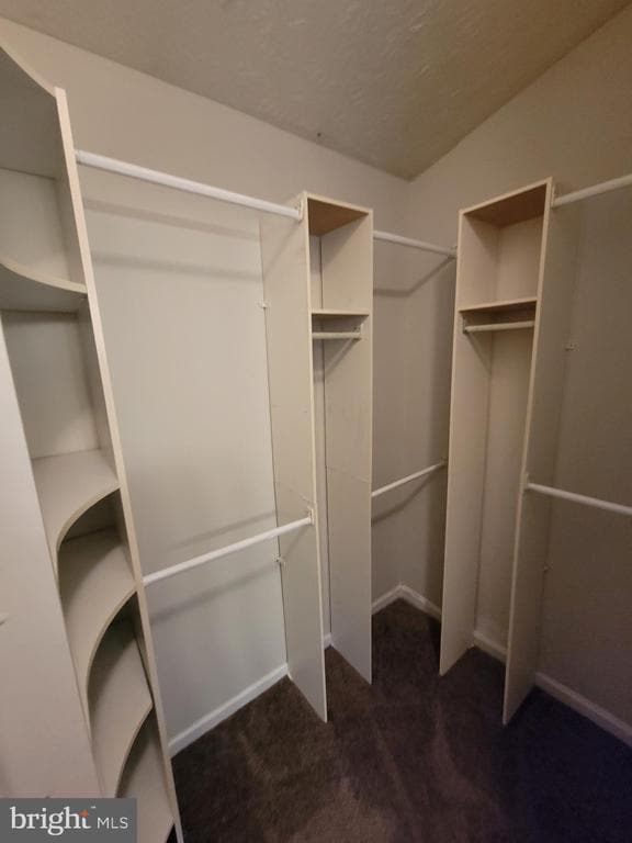 Building Photo - 8702 Castlerock Ct