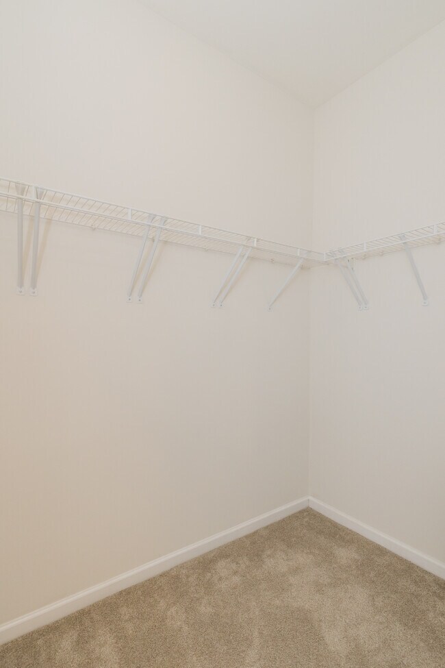 Building Photo - 8967 N Red Maple Cir