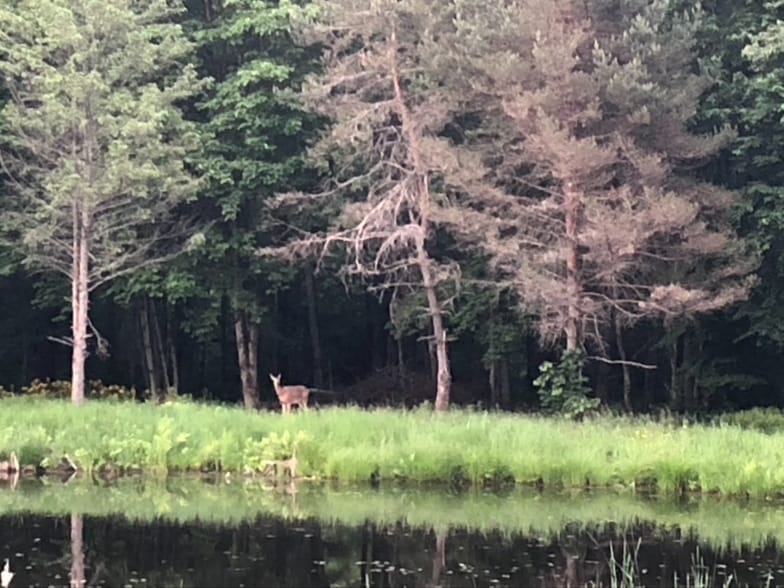 Building Photo - 3550 Coolidge Hwy