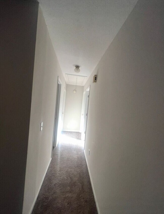 Building Photo - Brick one level home, Live Oak Tree, 3-4 bedrooms, fenced yard, deck.