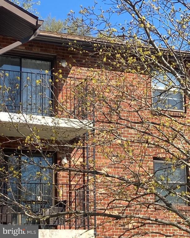 Building Photo - 10 Ivy Hall