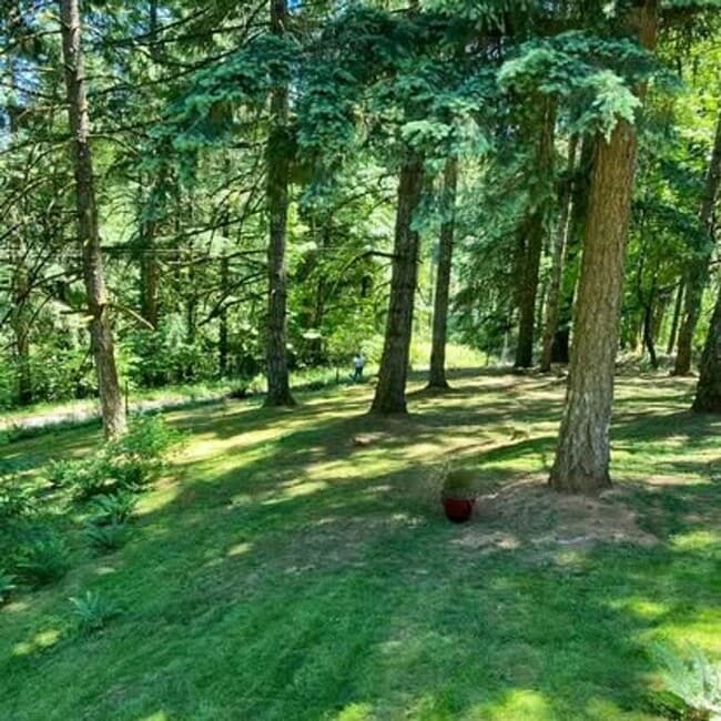 Building Photo - Beautiful Large 1 Bedroom Apartment in McMinnville