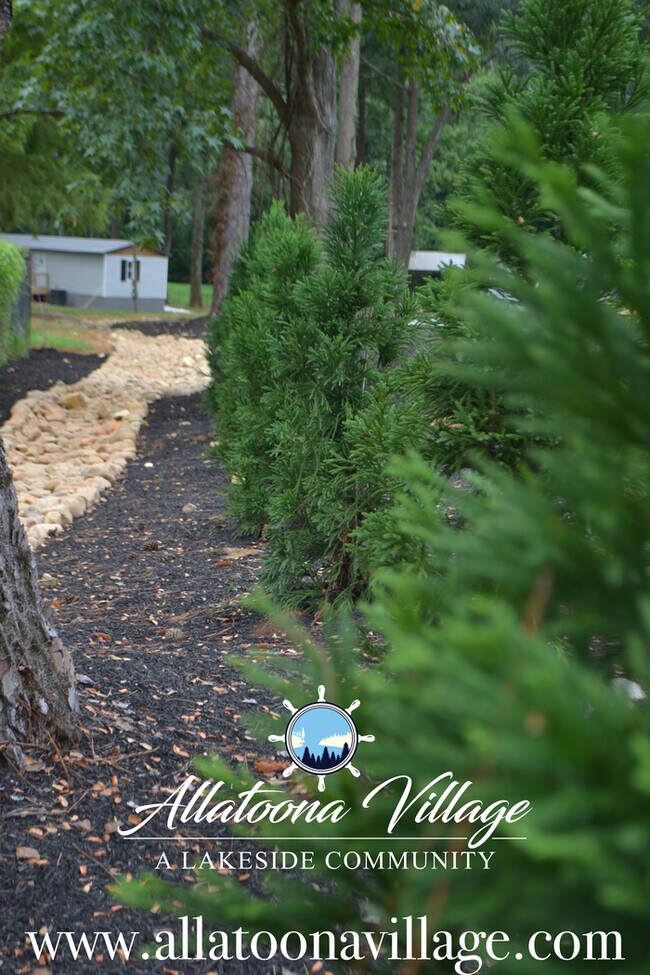 Building Photo - Complete Privacy in this new 3BR/2Bth House at Lake Allatoona! Pet friendly!