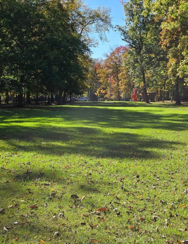 Building Photo - 3856 Magnolia Dr