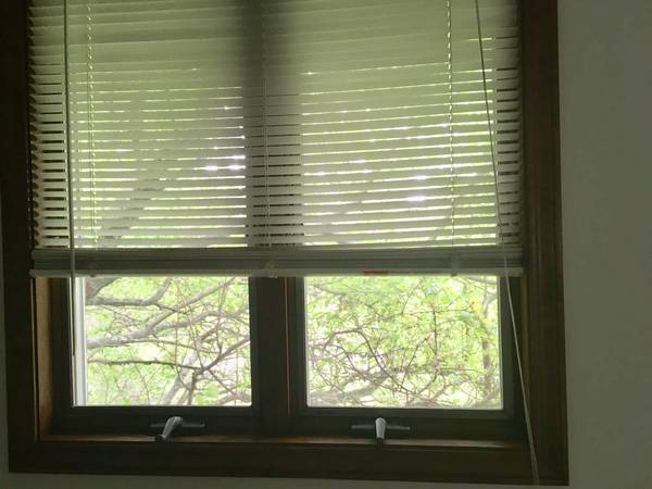 All windows have mini blinds and curtain rods - 2169 Amy Dr