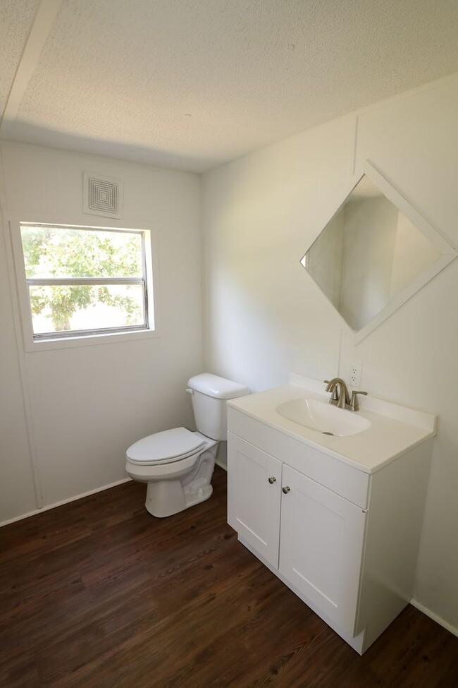 Building Photo - Newly Renovated Home