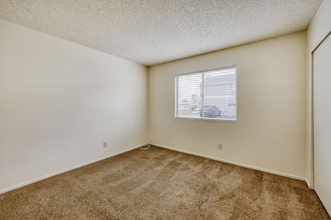 Building Photo - Cozy 2-Bedroom Apartment with Open Layout