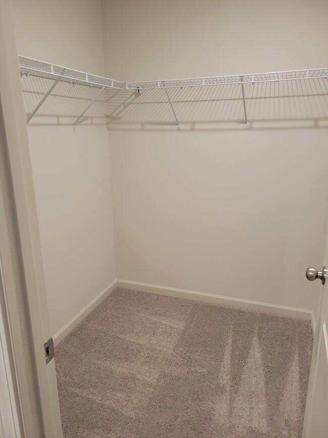 Master en suite closet - 1902 Prosperity Dr