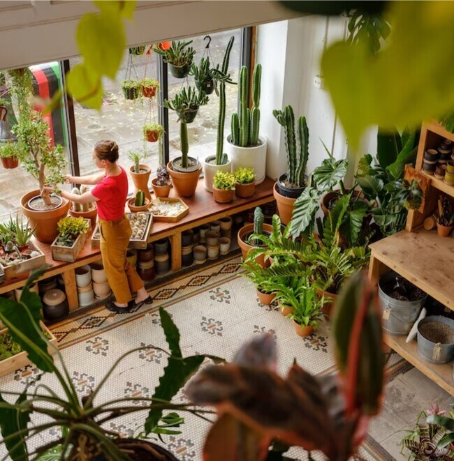 Plant store - 555 N Simpson St