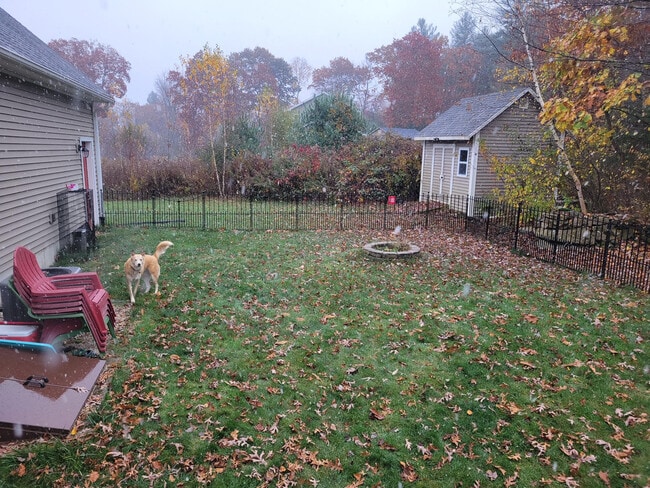 Back yard in fall (snowing) - 6 Trillium Way