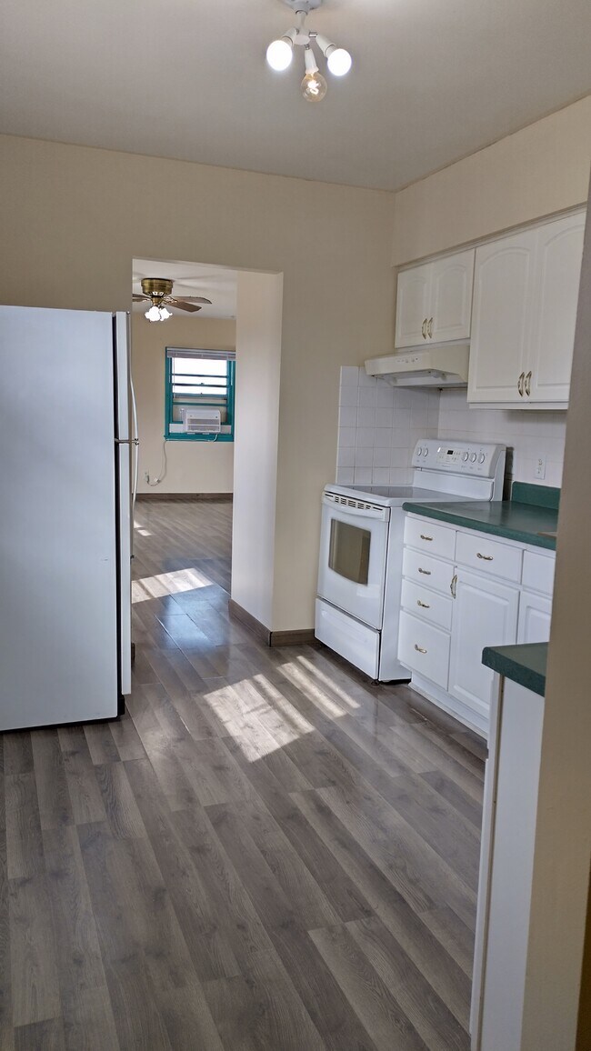 Building Photo - 1429 Casa Blanca Ln