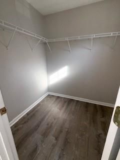 Building Photo - 242 Silver Ridge Dr