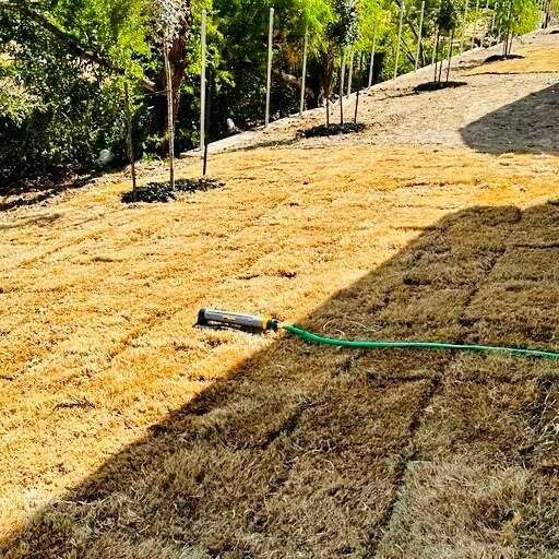 Building Photo - 1227 Art Wall Wy