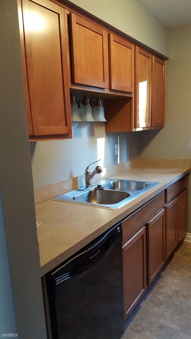 Kitchen Sink & Dishwasher - 675 Randolph St