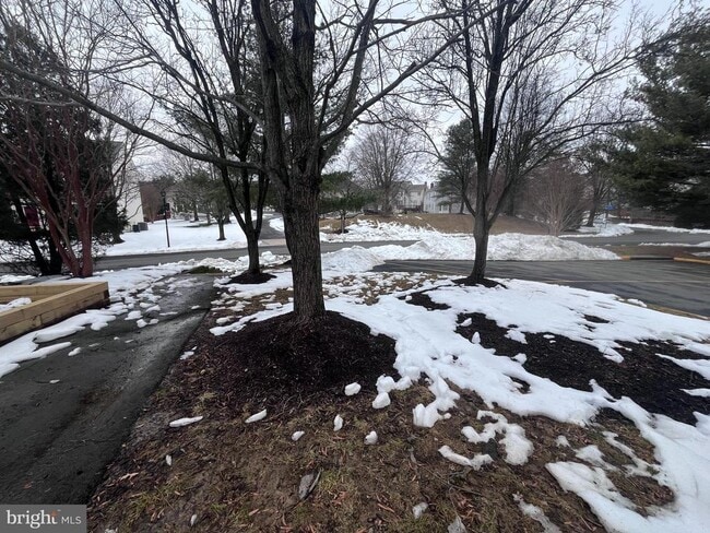 Building Photo - 8110 Meadow Springs Ct