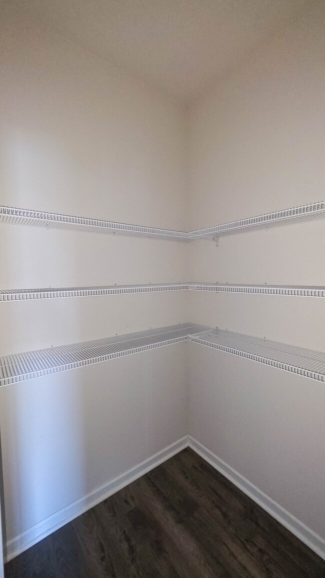 Building Photo - 3565 Bells Lk Cir