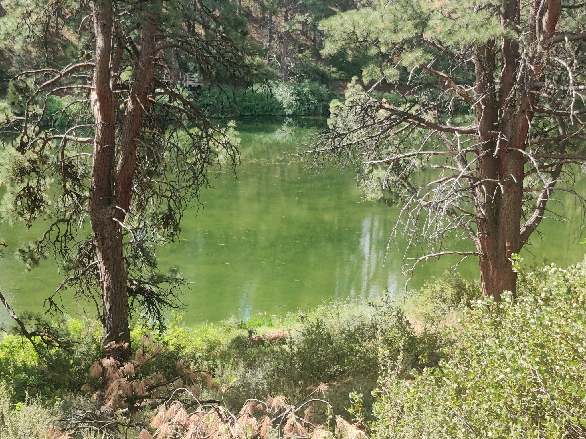 Seventh Mountain pond - 18575 SW Century Dr