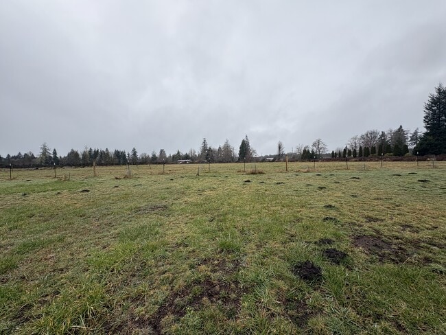 Building Photo - 130 Doggone Ln