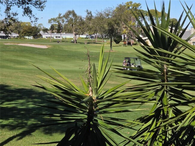 Building Photo - 3500 El Conquistador Pkwy