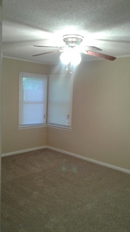 Building Photo - 1539 Morningside Rd