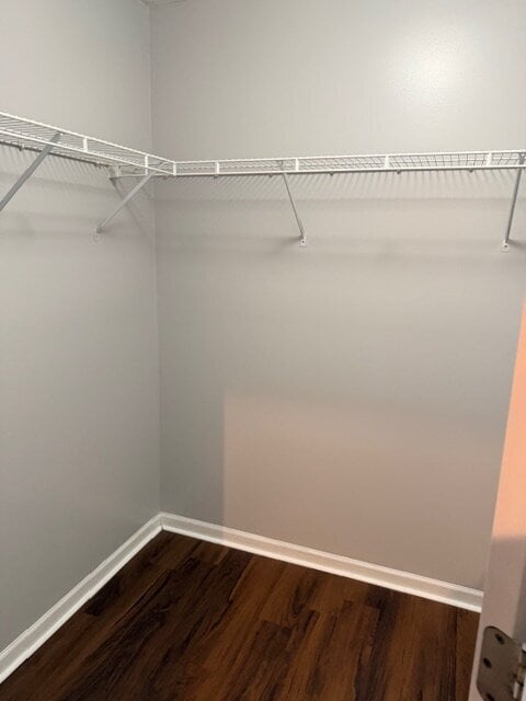 Building Photo - "Charming 4-Bed Oasis on Kidwell Court – Spacious Living with 2.5 Baths in Indianapolis!"