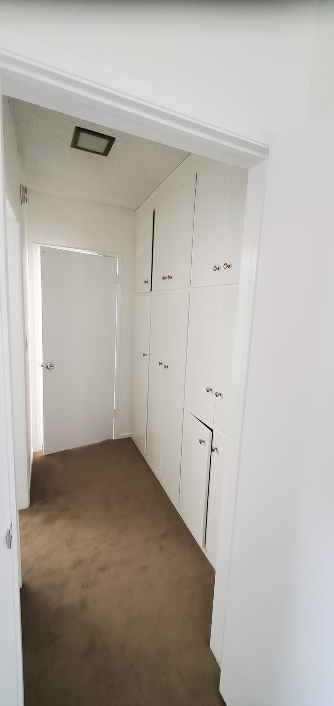 hallway with lots of closet and cabinet space - 252 S Reeves Dr