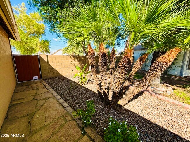 Building Photo - 3463 N Verano Ct