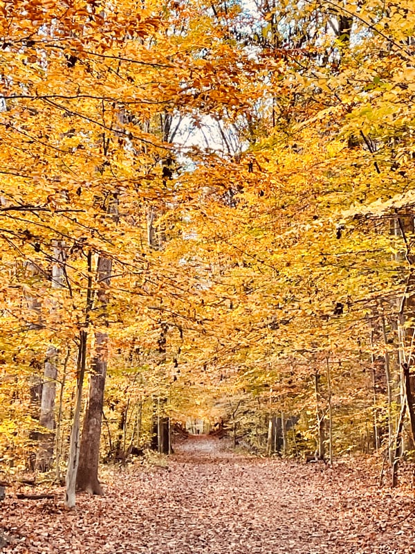 Building Photo - 6204 Greeley Blvd