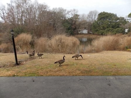 Building Photo - 2205 Southside Blvd