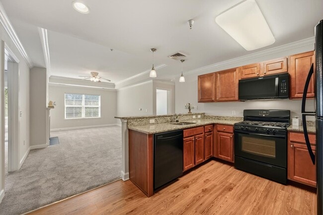 The Promenade Apartments - Kitchen - The Promenade at Red Apple Town Center