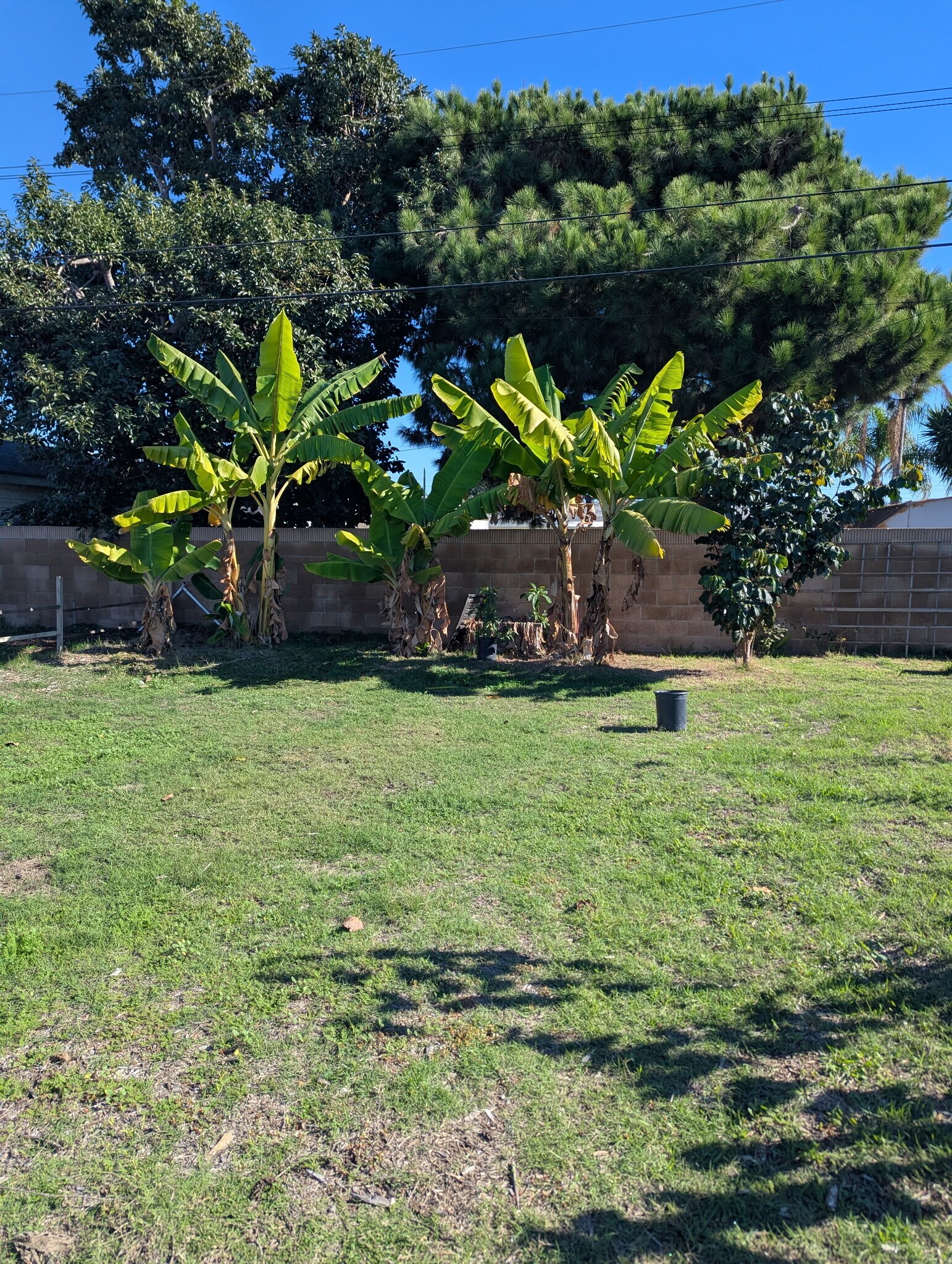 Building Photo - 13092 La Pata St