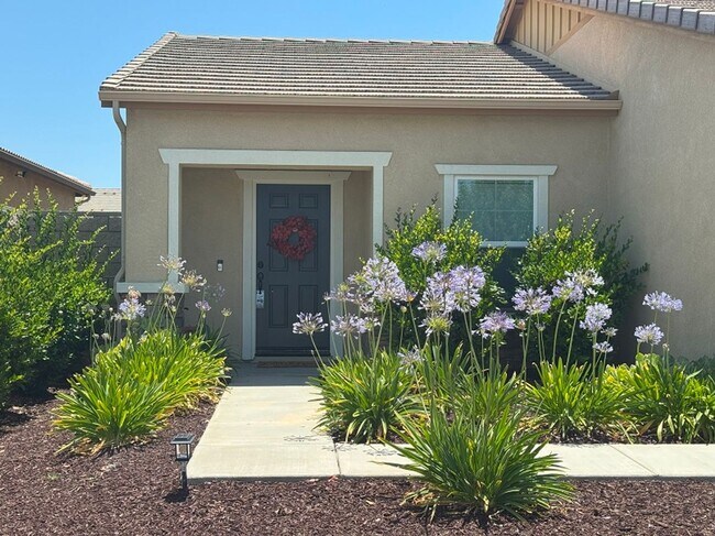 Primary Photo - Beautiful Single Story House in New commun...