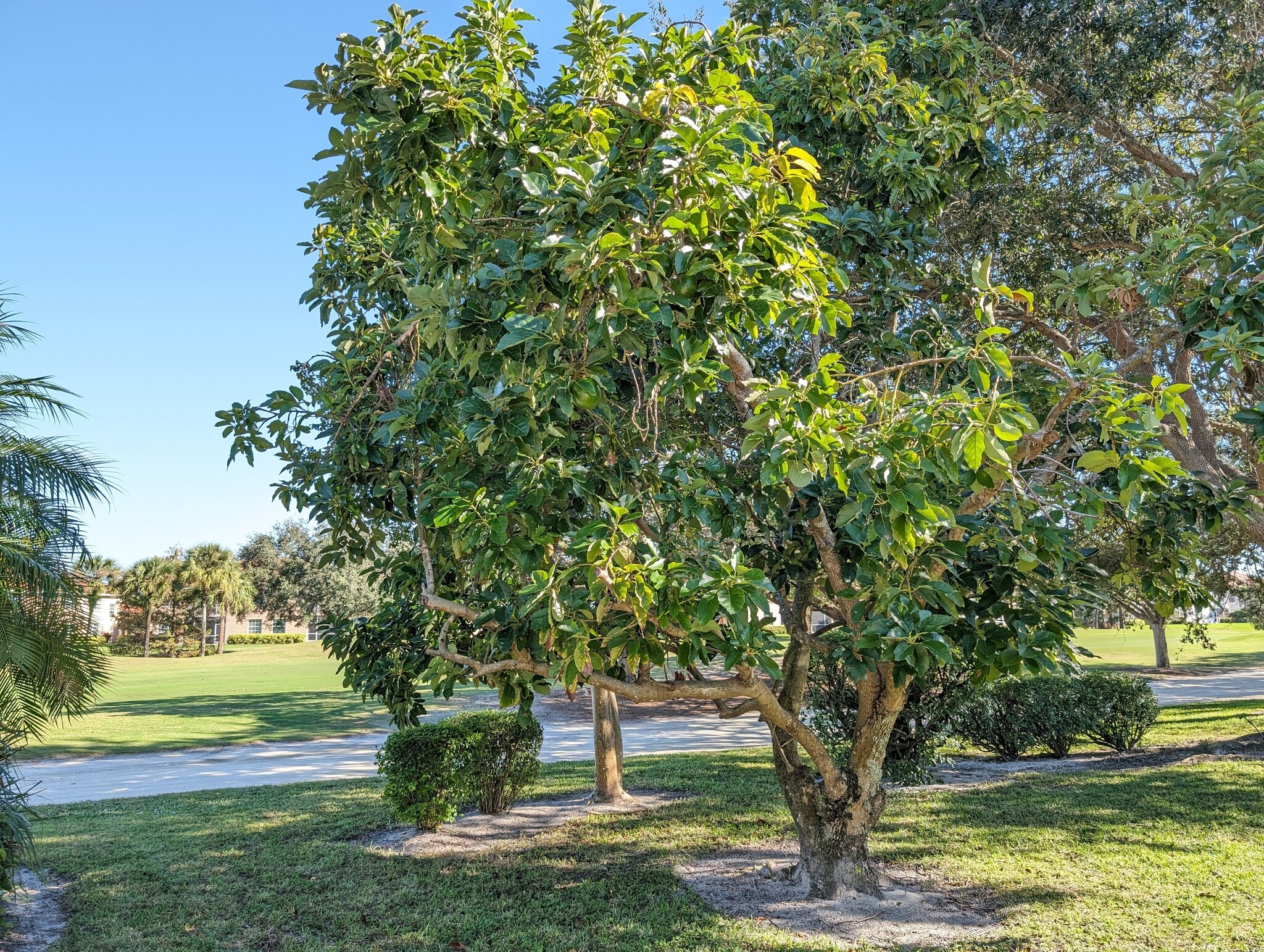 Building Photo - 2229 Heritage Greens Dr