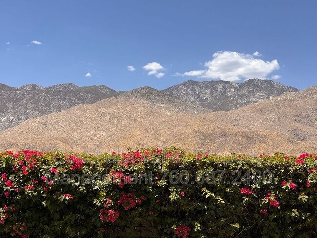 Building Photo - 1655 E Palm Canyon Dr
