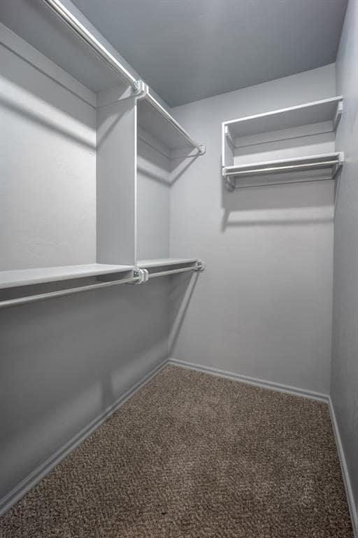 Building Photo - 1222 Sierra Ln