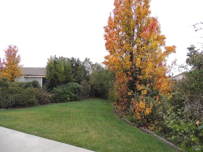 Building Photo - 265 Conway Dr