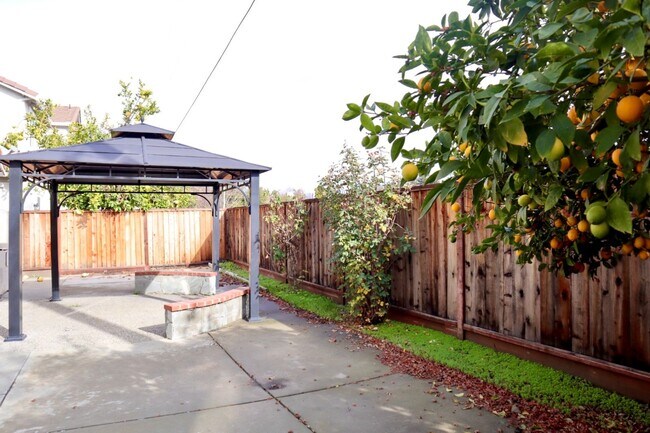 Building Photo - Beautiful 5-Bedroom Home in the Northgate ...