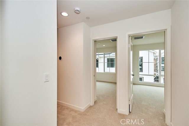 Building Photo - 4581 Amaranth Ln