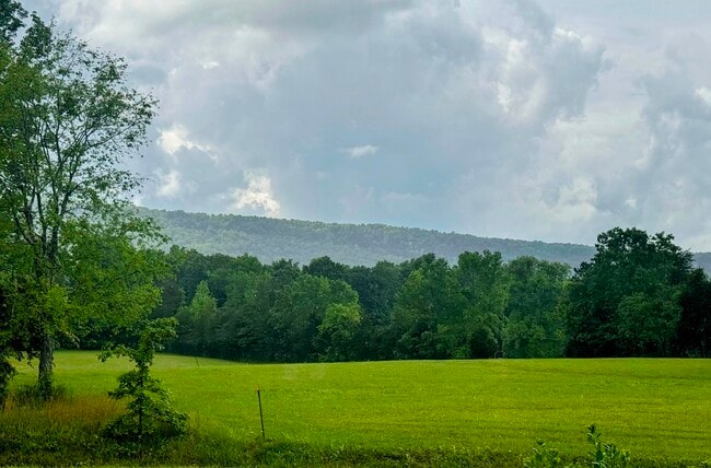 Building Photo - View Point Realty