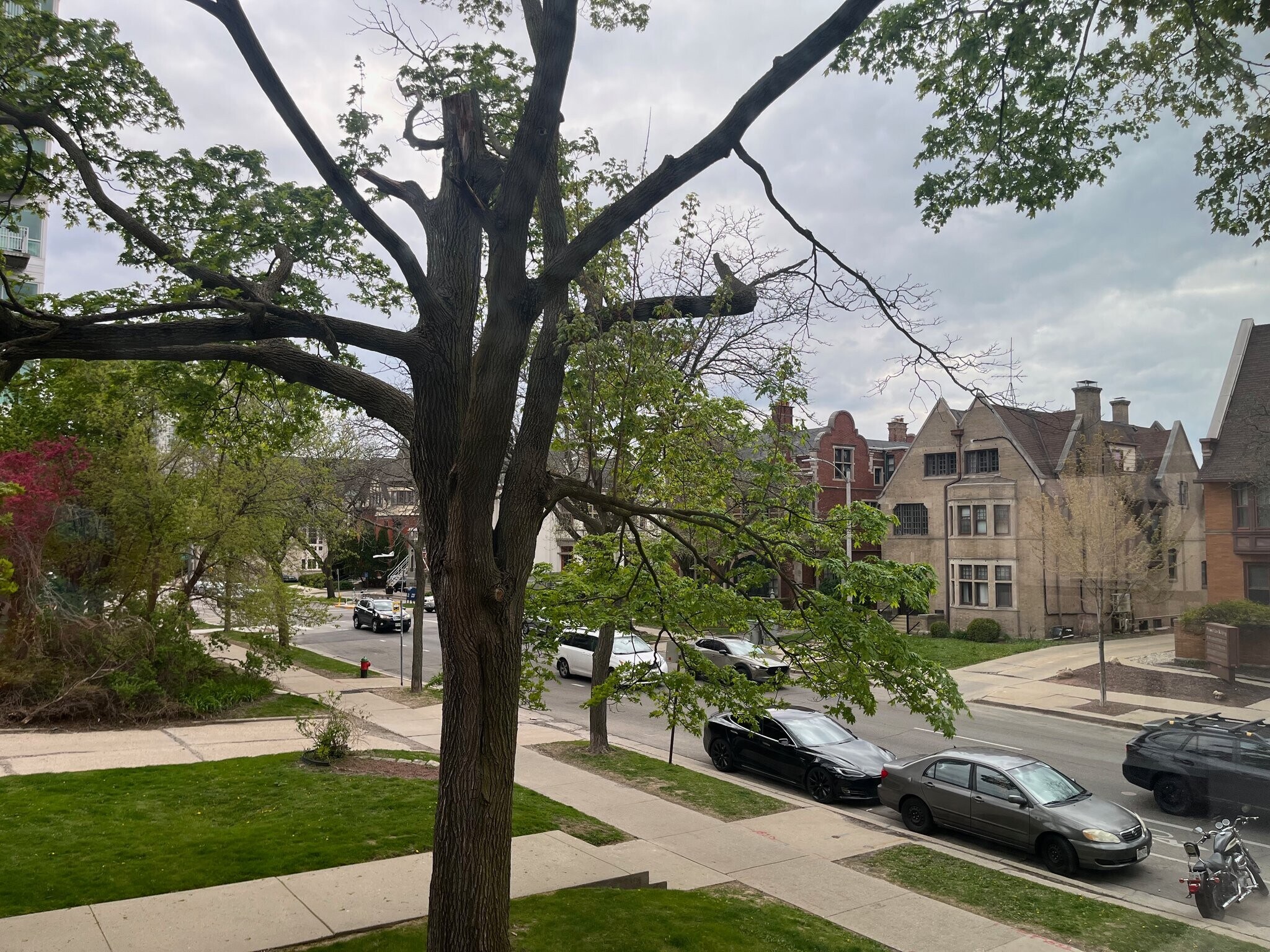 Building Photo - 1560 N Prospect Ave