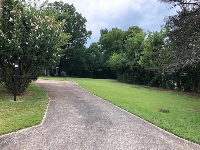 Building Photo - 1619 Jones Blvd