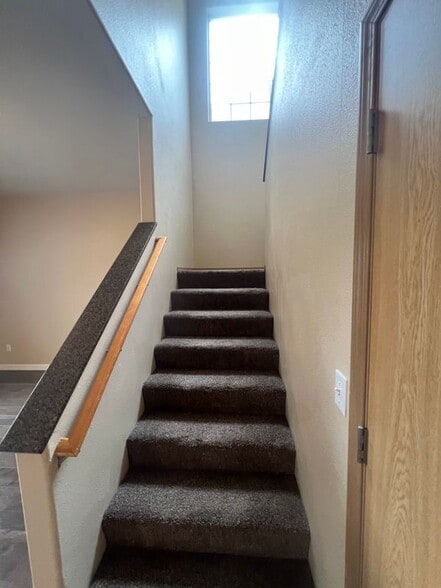 Building Photo - 4408 Appaloosa Ct