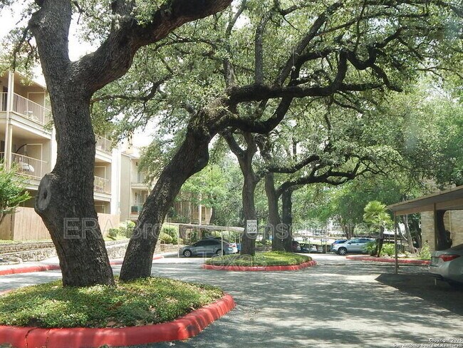 Primary Photo - 4119 Castlewood