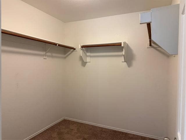 Building Photo - 1708 Gayla Creek Dr