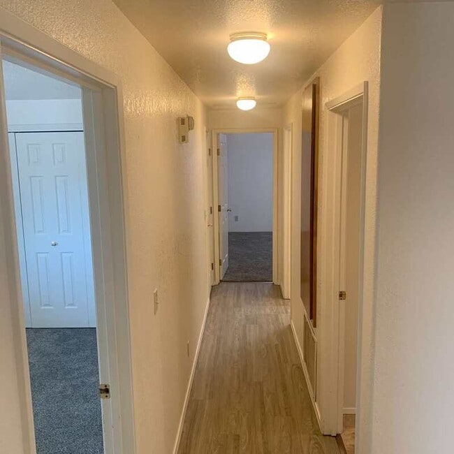 Building Photo - 1852 Medart Ln