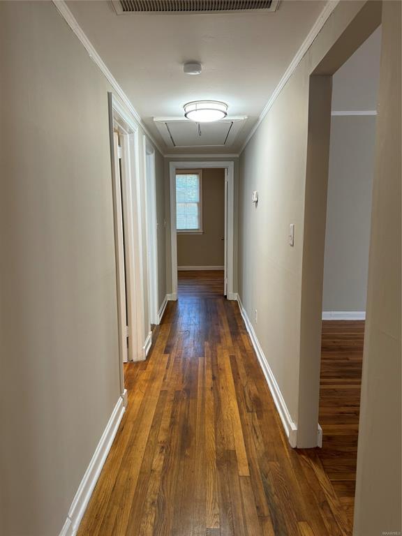 Building Photo - 19 Bradley Dr