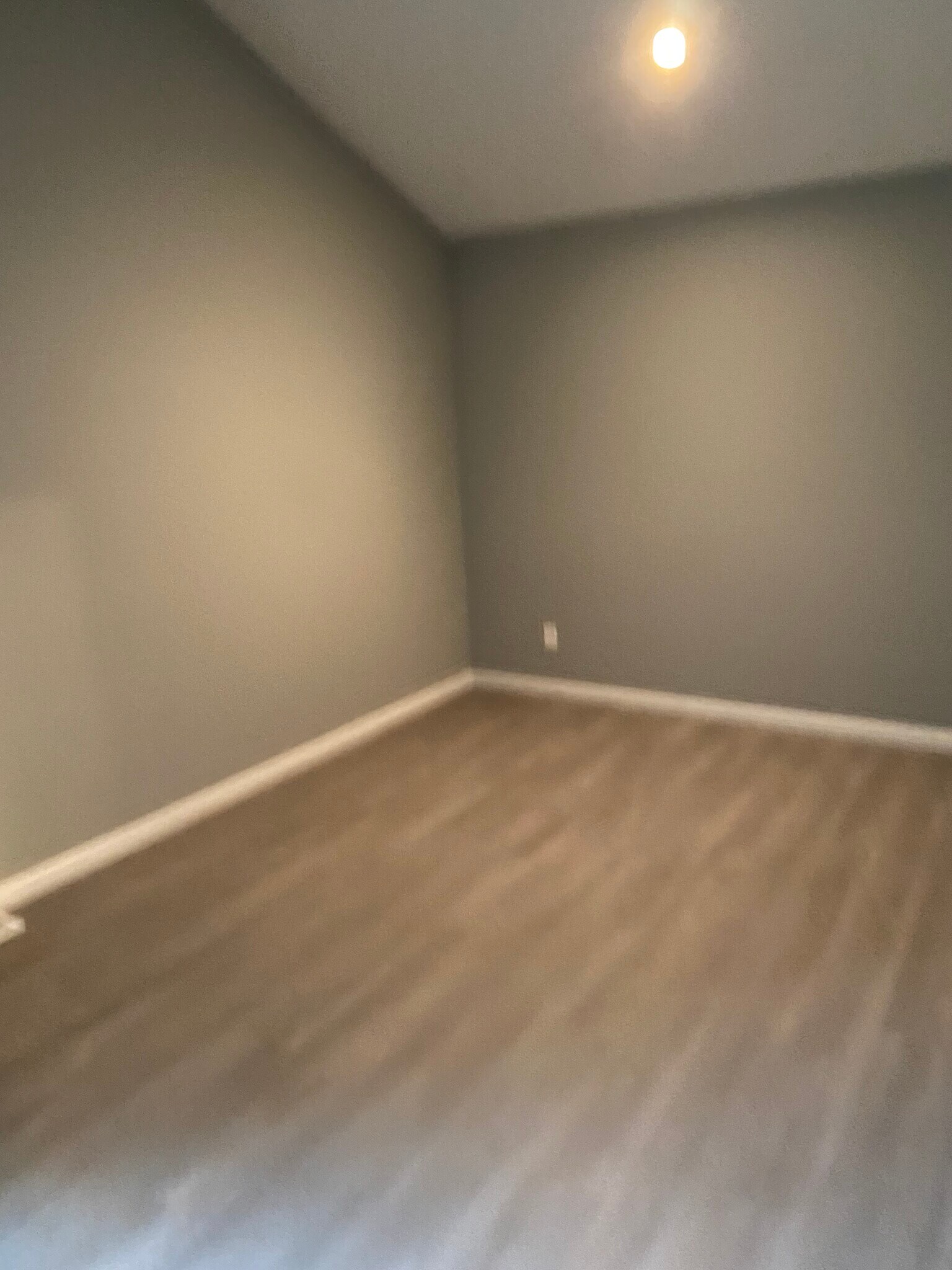 Building Photo - 3317 Bridge Manor Dr