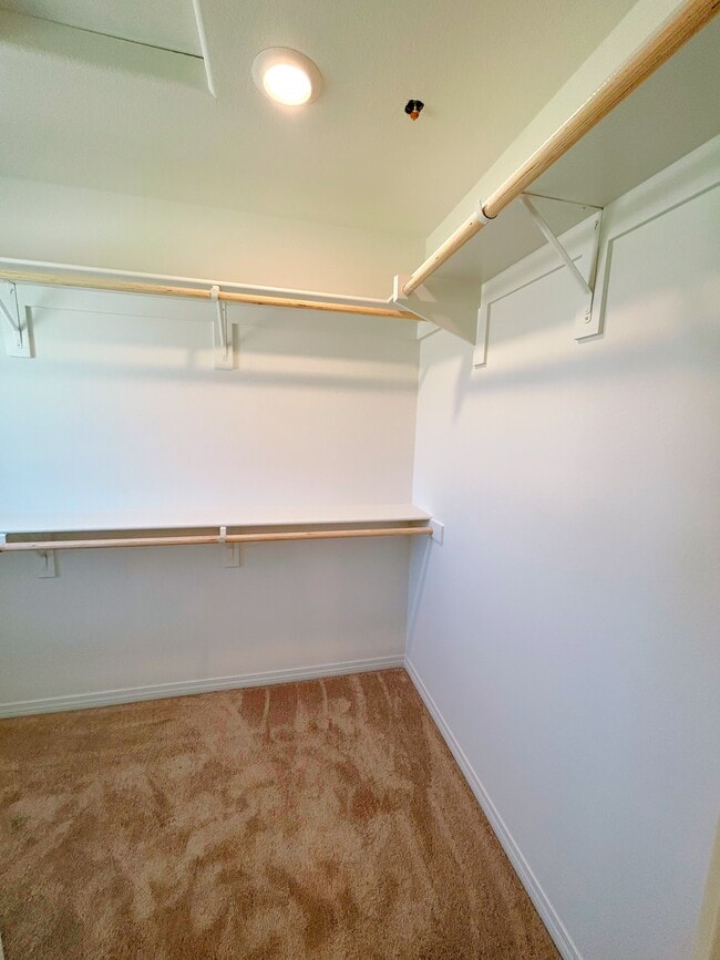 Building Photo - 16670 Rose Petal Wy