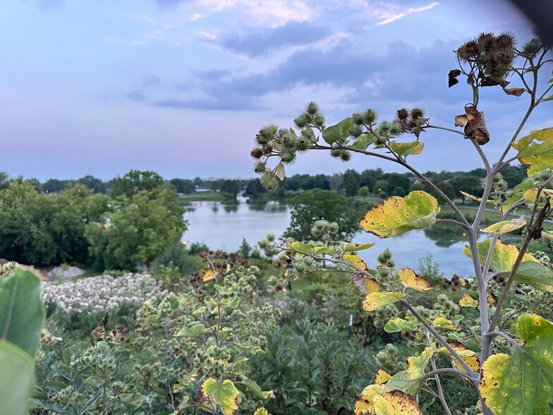 View from the top of the sled hill - 174 Hemingway Ct